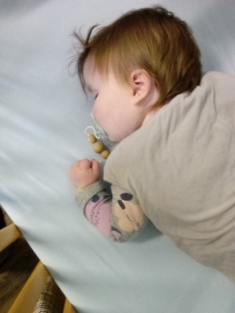 Bambini Montessori Academy Image