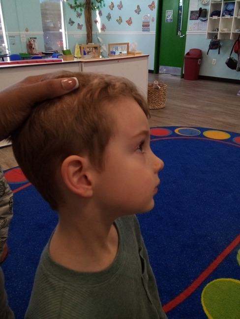 Bambini Montessori Academy Image