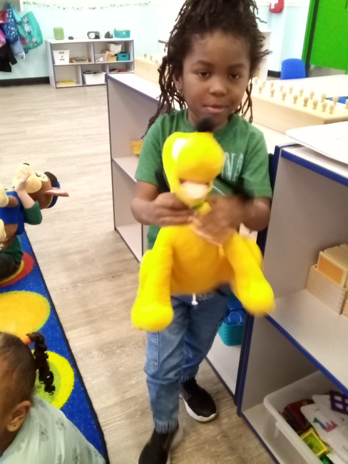 Bambini Montessori Academy Image