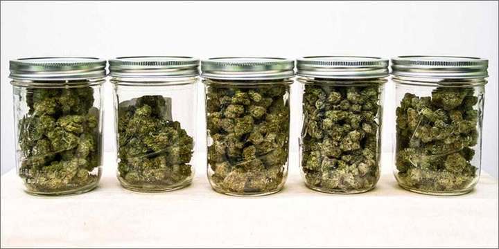 Exclusive Deals - San Diego Marijuana Delivery - Lemon Grove, CA