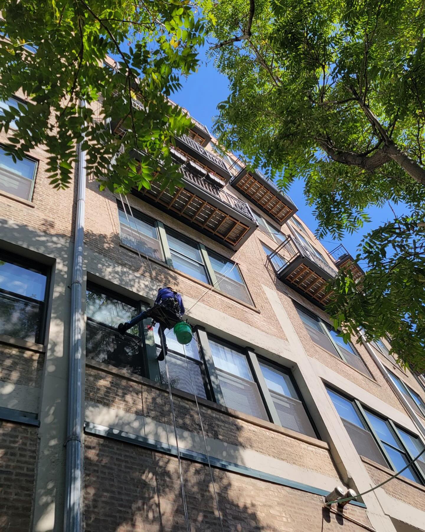 All Window Cleaning Services Image