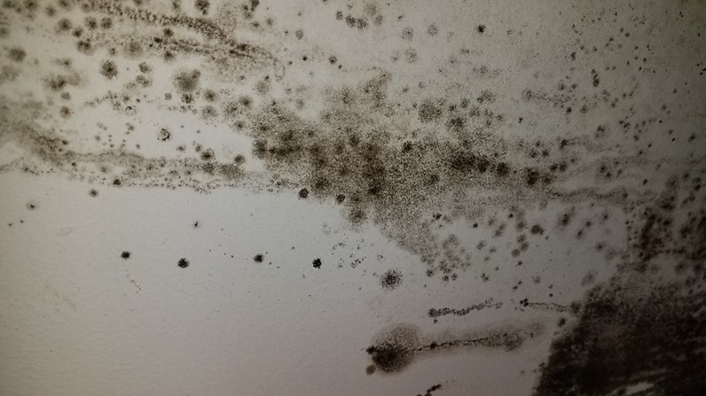 American Air Testing Image