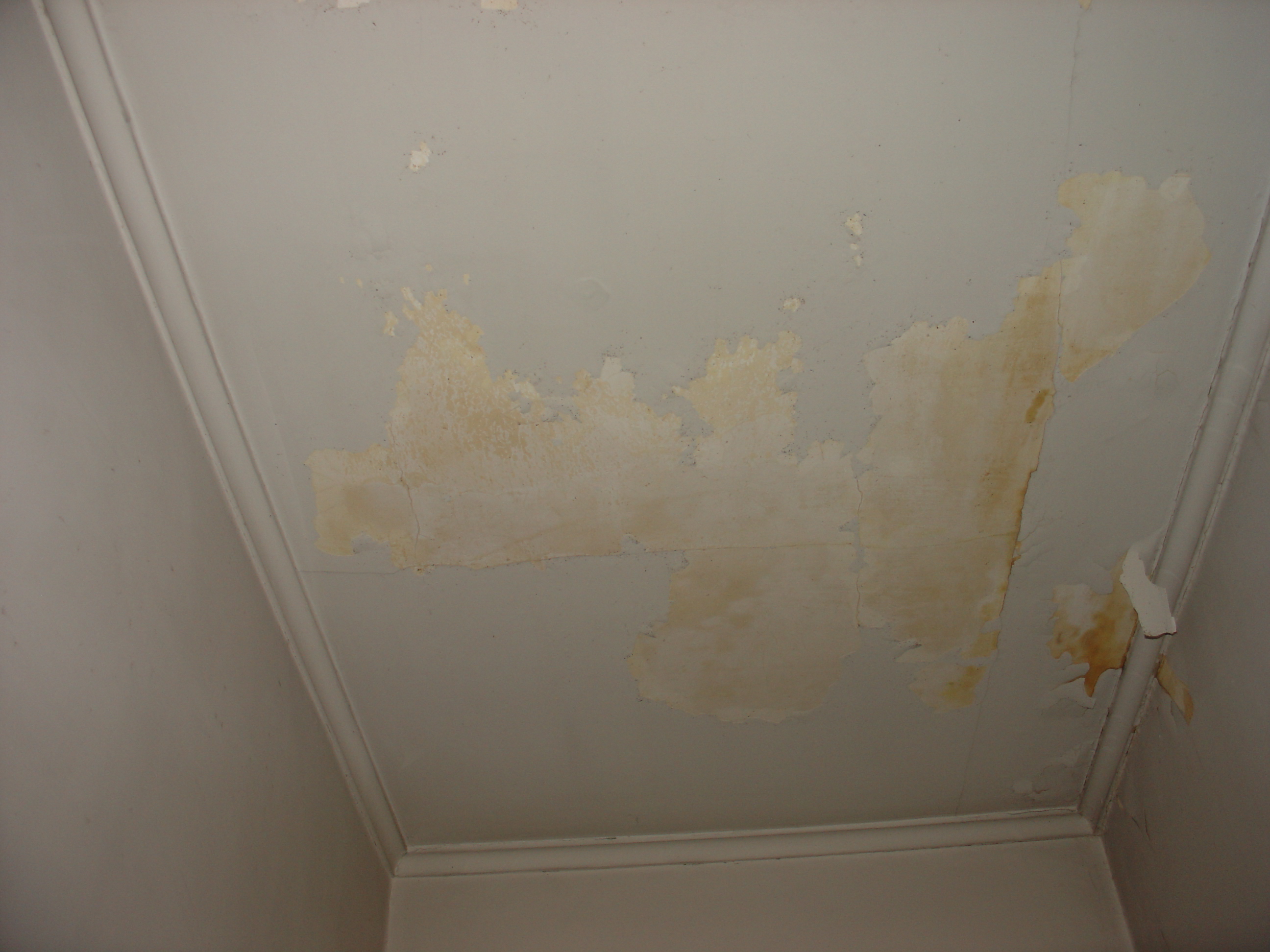 American Air Testing Image