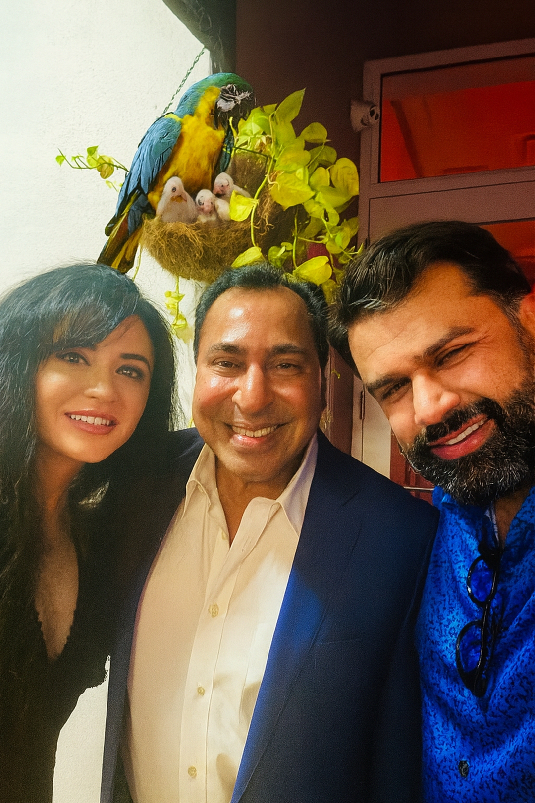 Dentistry of Bellevue WA Image