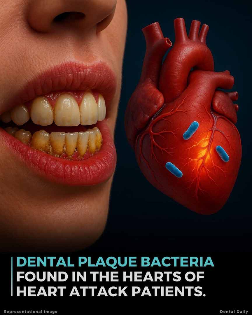 Dentistry of Bellevue WA Image