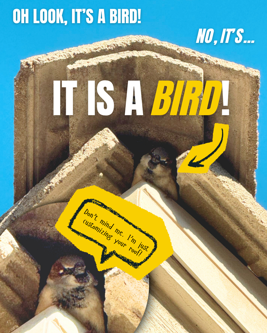 Arizona's Finest Roofing LLC Image