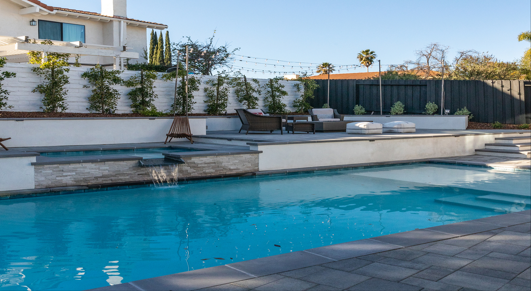 Cat in a Hammock Image