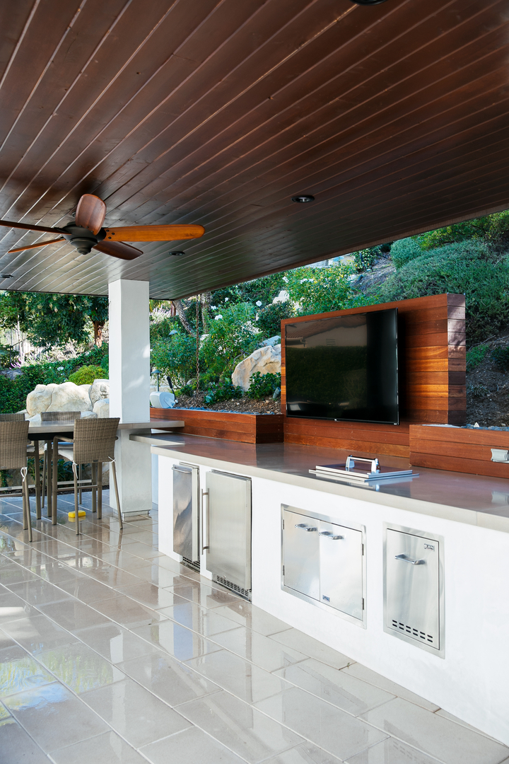 Cat in a Hammock Image