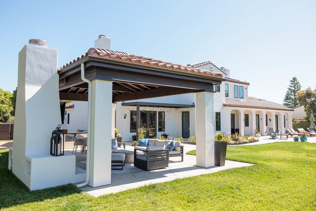 Cat in a Hammock Image