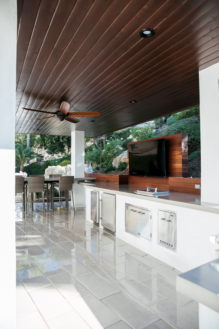 Cat in a Hammock Image