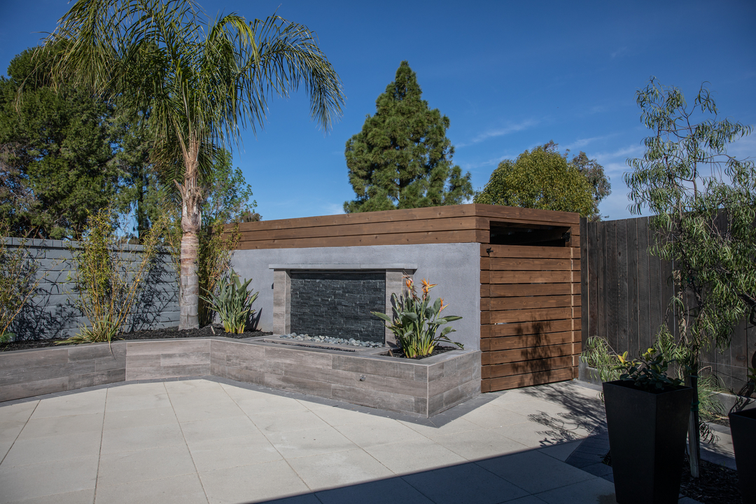 Cat in a Hammock Image