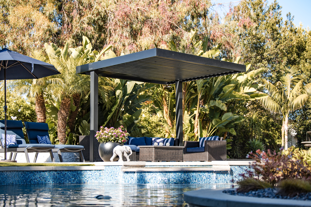 Cat in a Hammock Image