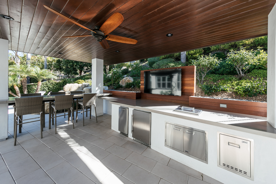 Cat in a Hammock Image