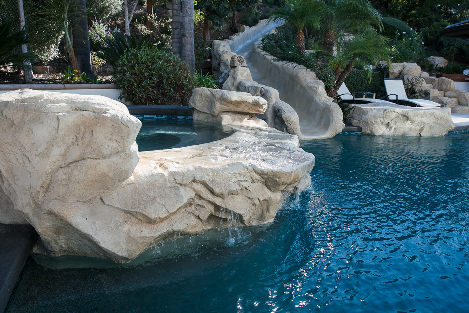 Cat in a Hammock Image