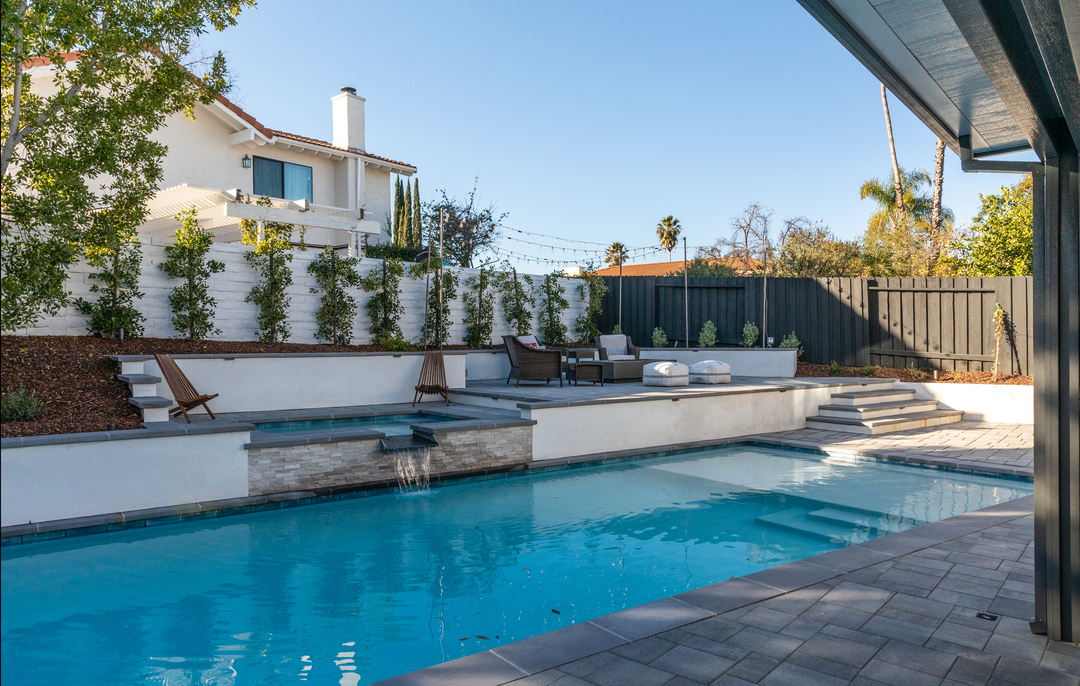 Cat in a Hammock Image