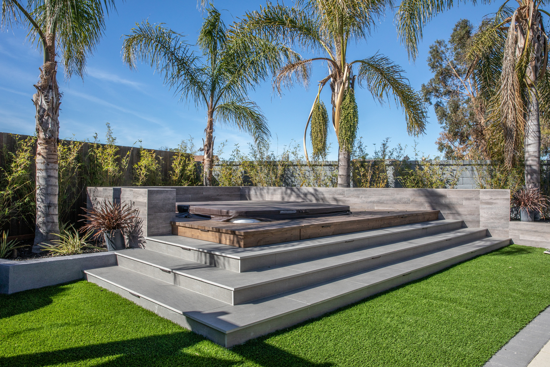 Cat in a Hammock Image