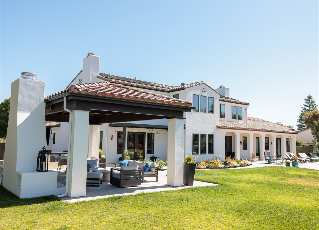 Cat in a Hammock Image