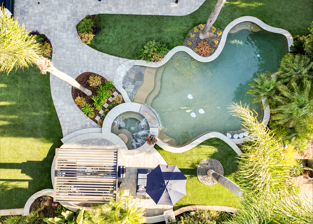 Cat in a Hammock Image