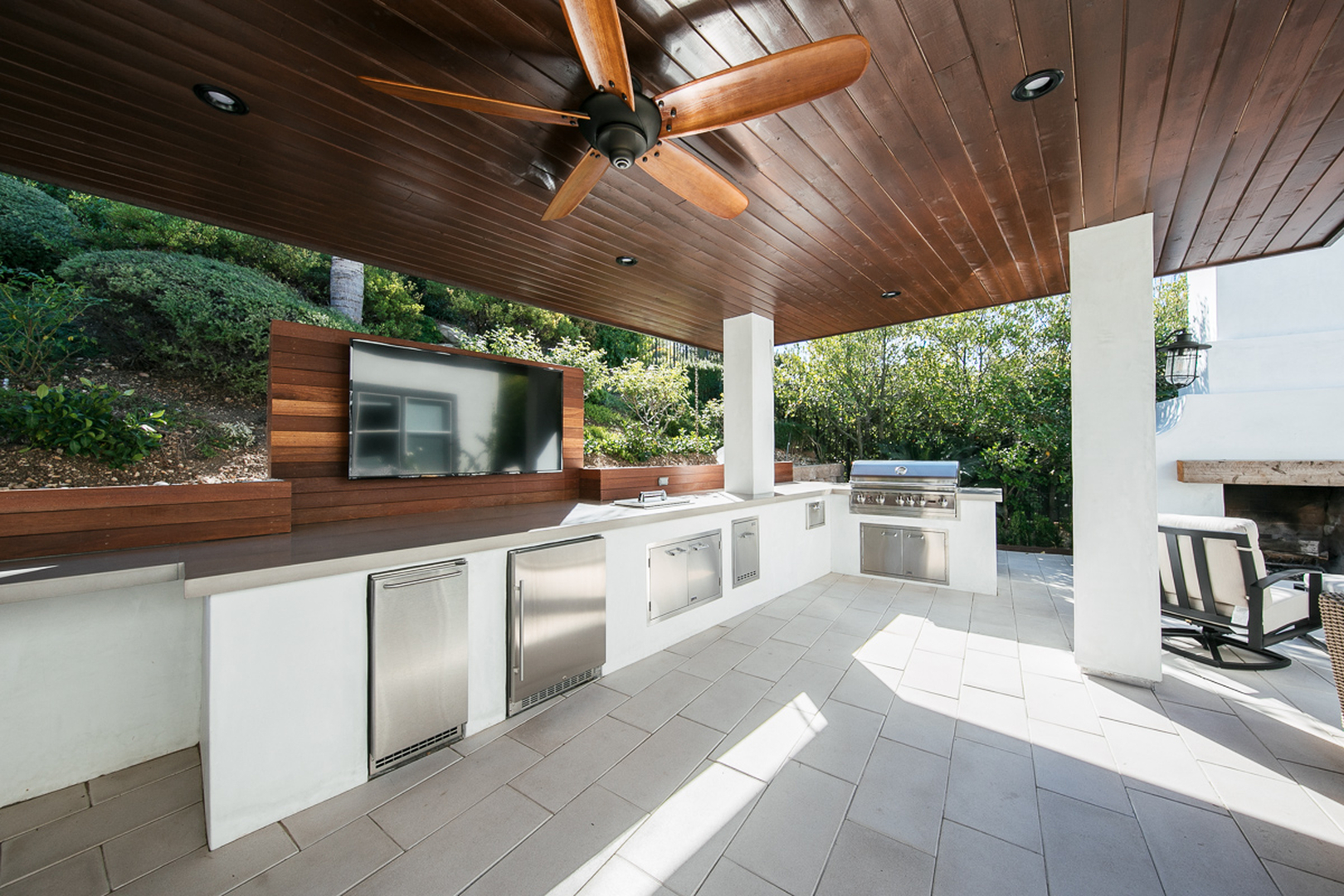 Cat in a Hammock Image