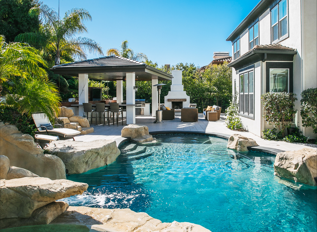 Cat in a Hammock Image