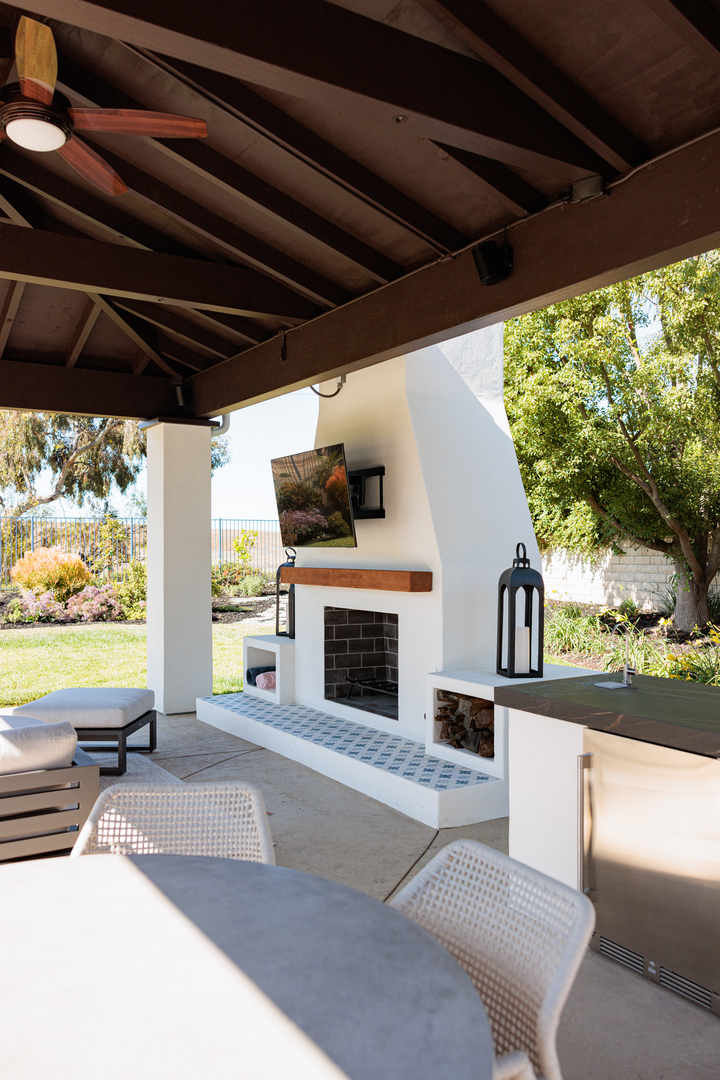 Cat in a Hammock Image