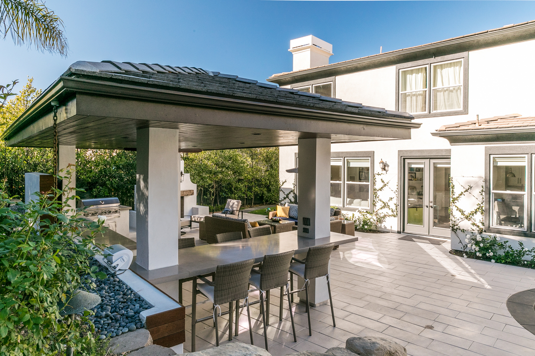 Cat in a Hammock Image