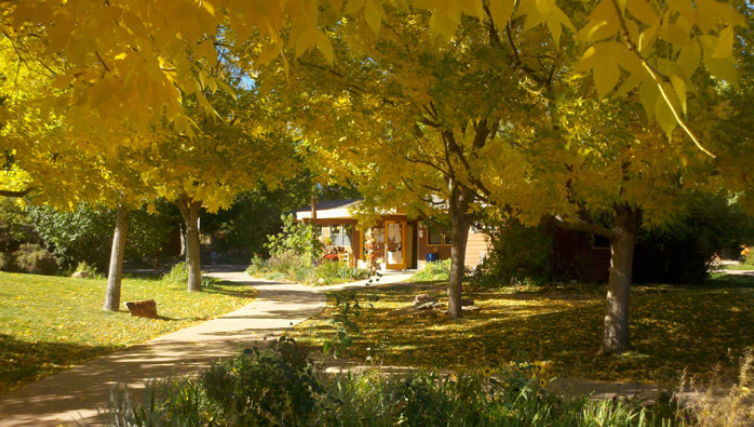 Shining Mountain Waldorf School Image