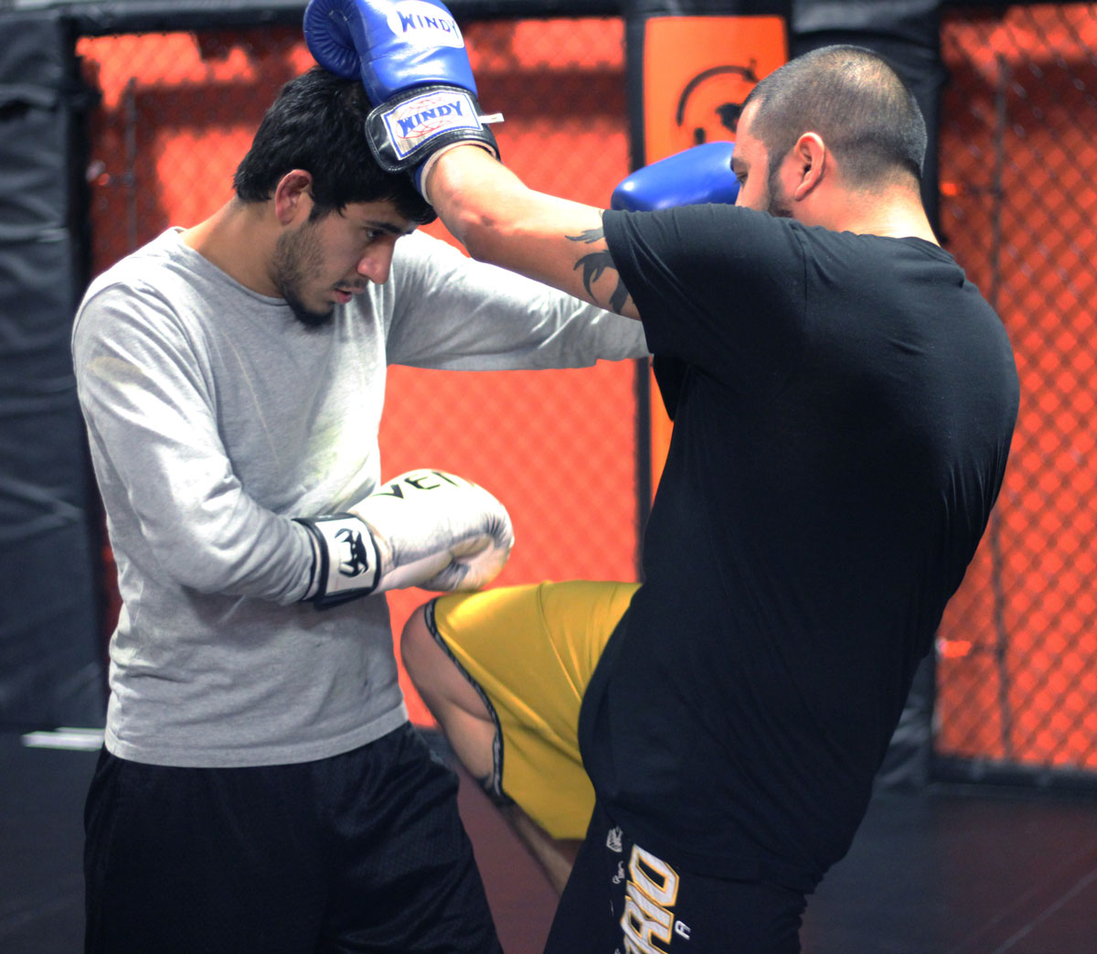 Wolfpack Mixed Martial Arts Image