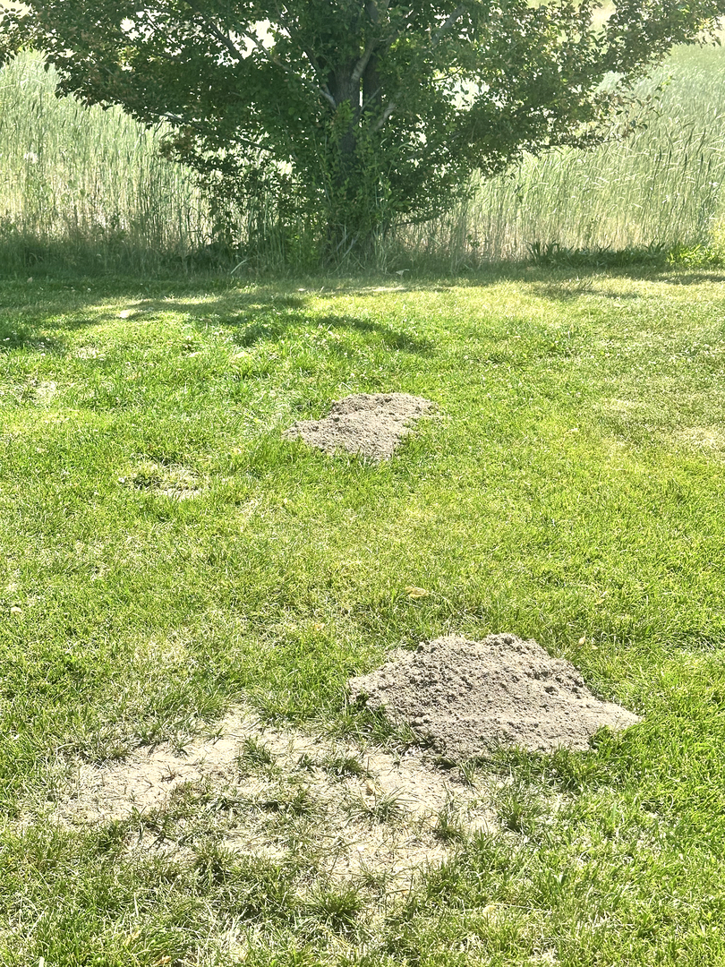 Stonewood Pest Control - Meridian, ID