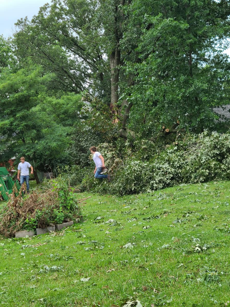 Petree Farms Demolition and Excavation LLC Image