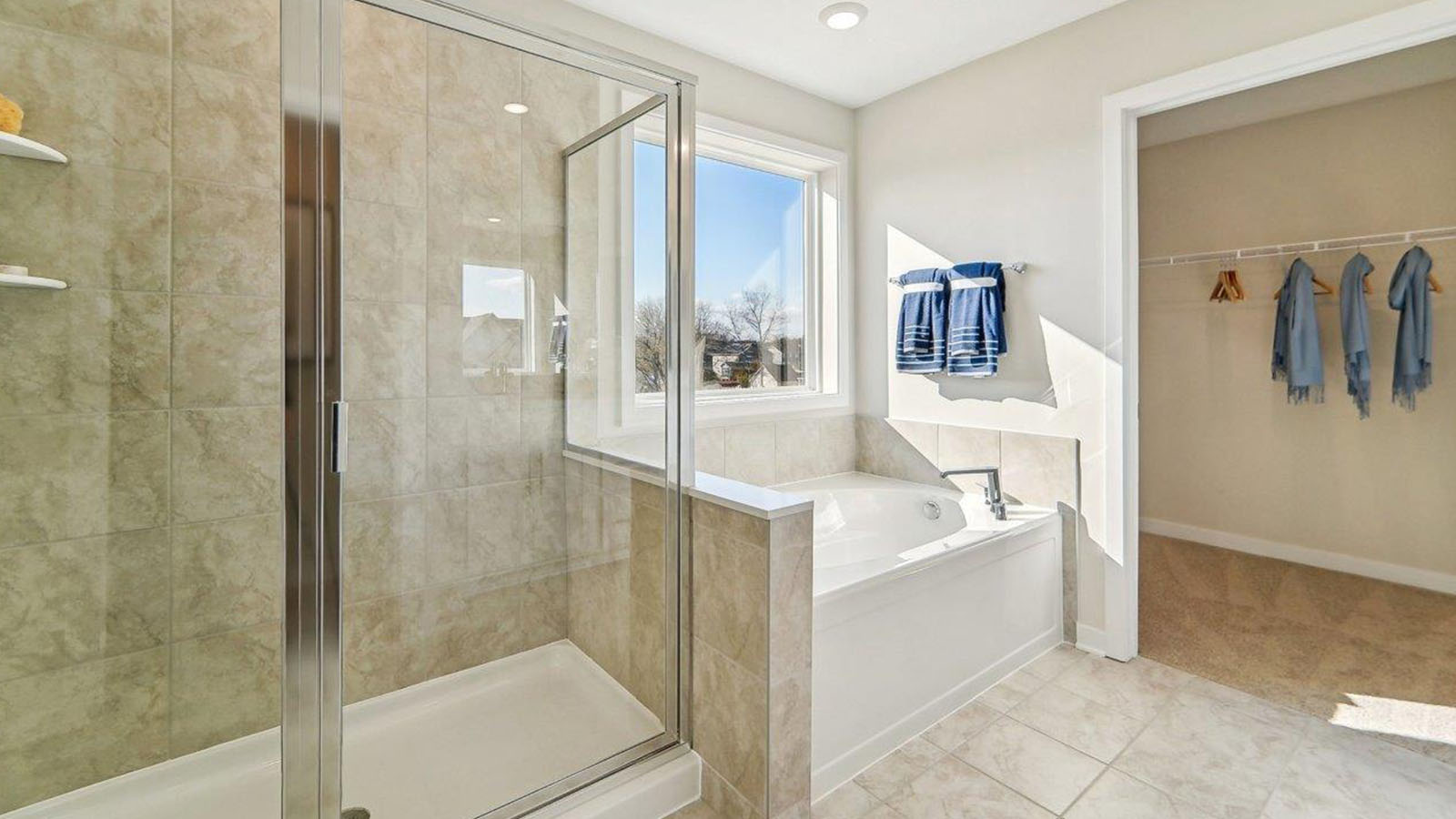 Beechwood Manor by D.R. Horton Image