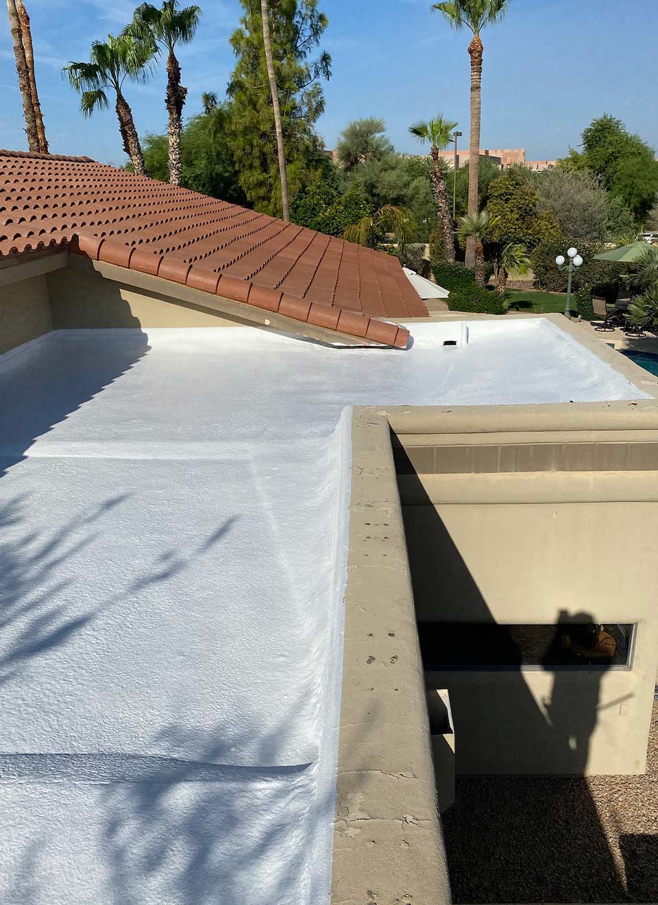 Of The Rose Renovations Image