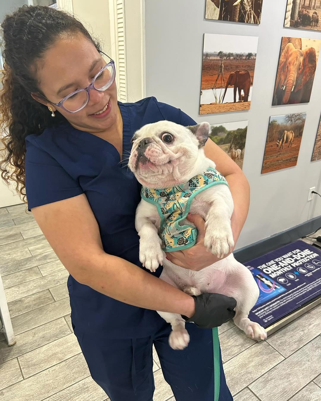 Coral Way Animal Clinic - Miami, FL