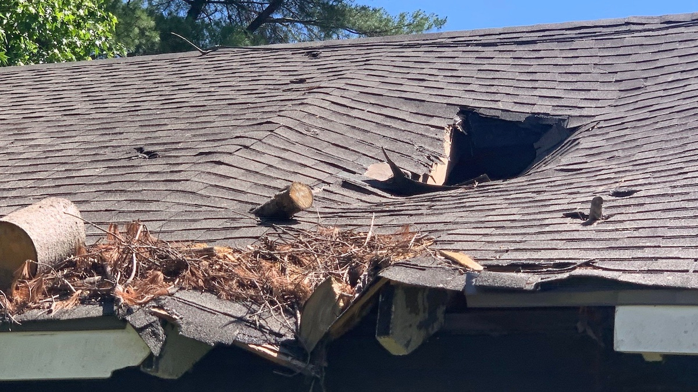 RoofPRO Image