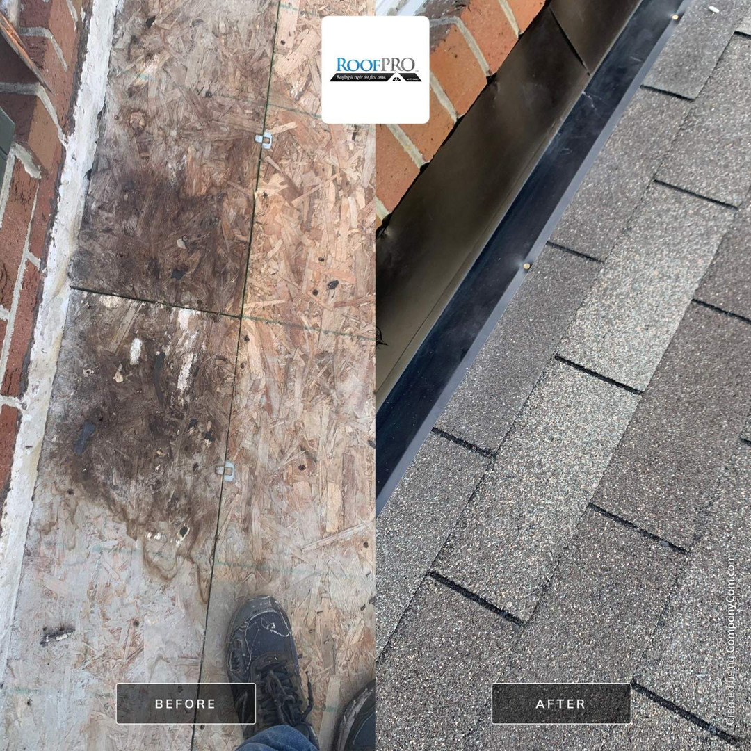 RoofPRO Image