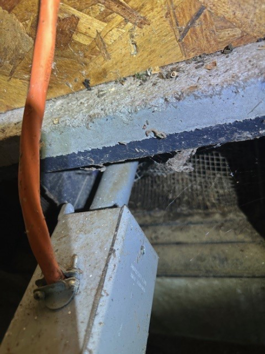 EcoCare Pest Control - Portland, OR