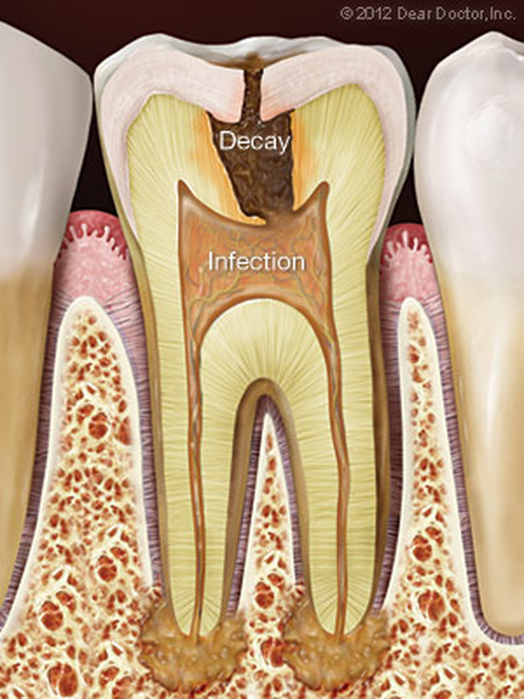 Smile High Dental Care Image