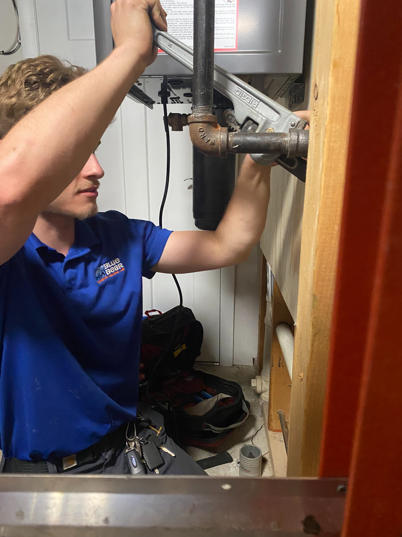 Blue Bear Plumbing, Heating & Air Image