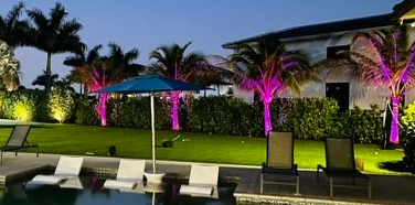 Lume by Masick Image