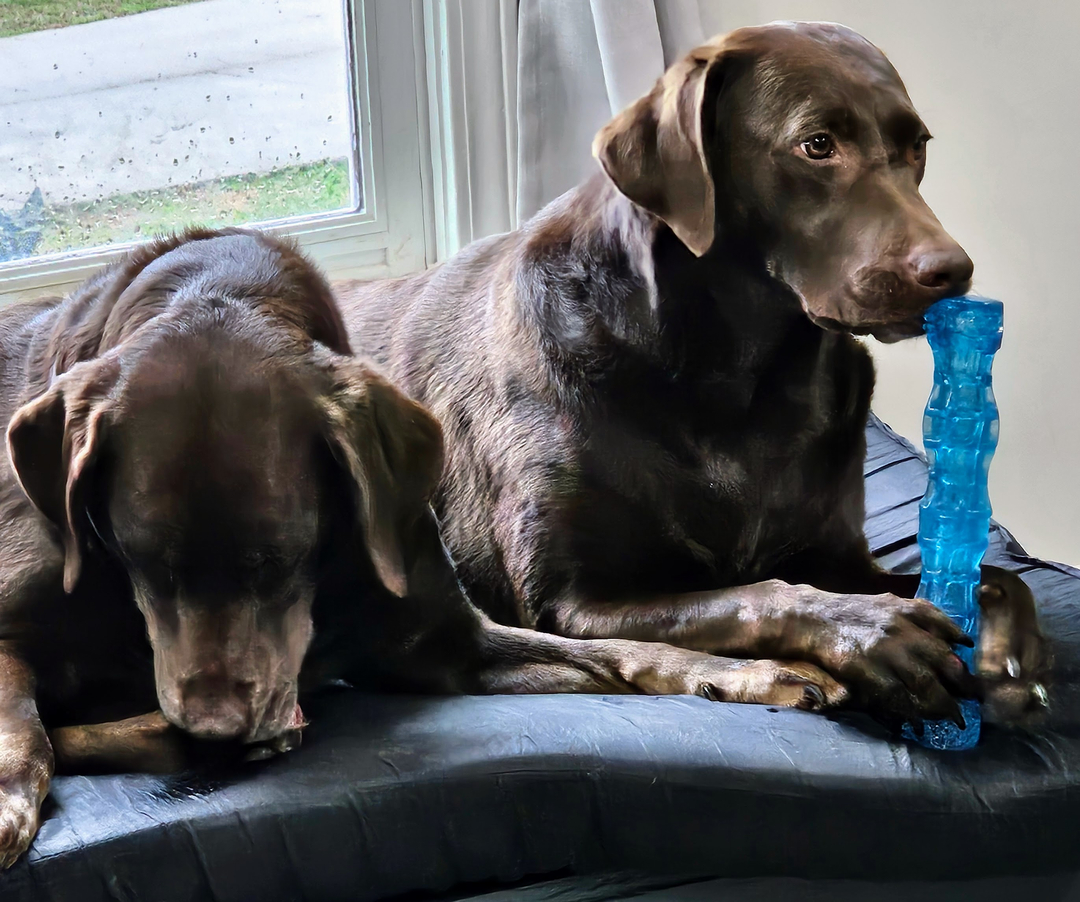 Georgia Serenity Fence Image