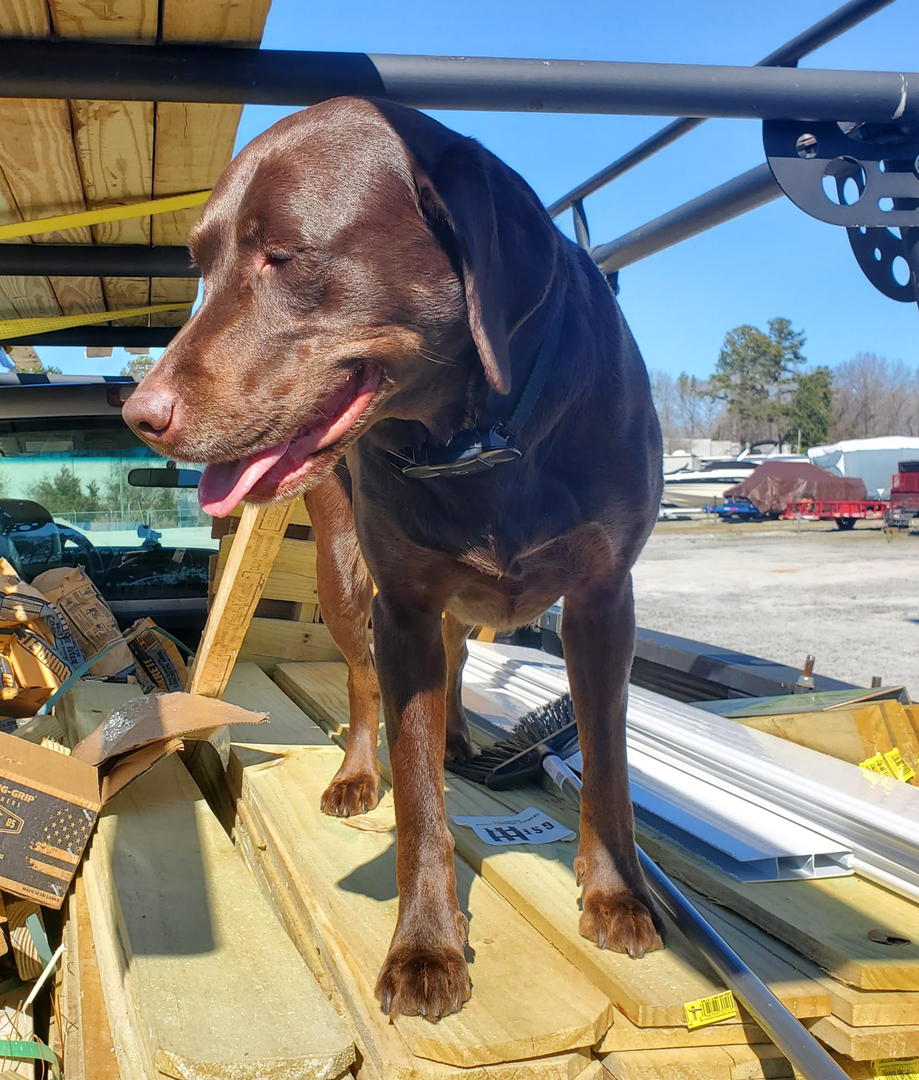 Georgia Serenity Fence Image