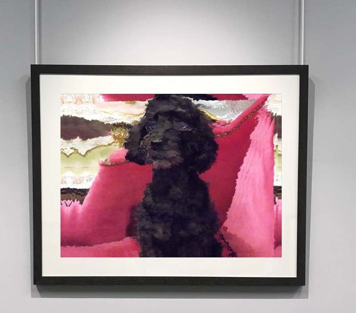 The Abstract Gardener Image