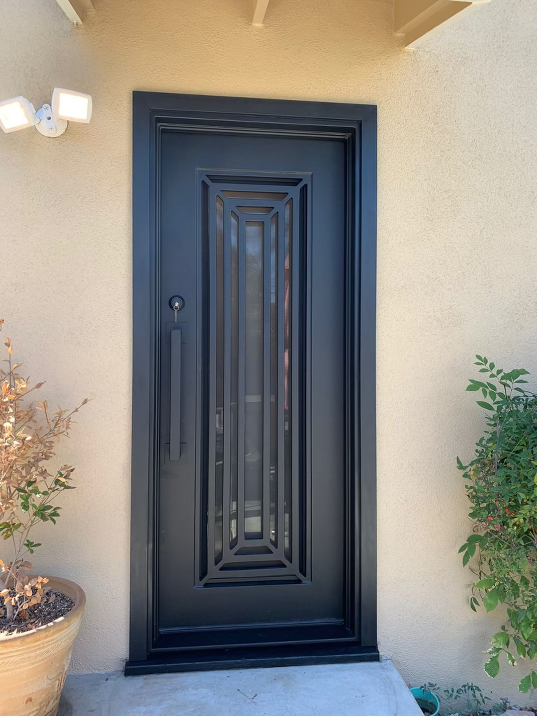 Luxe Iron Doors Image