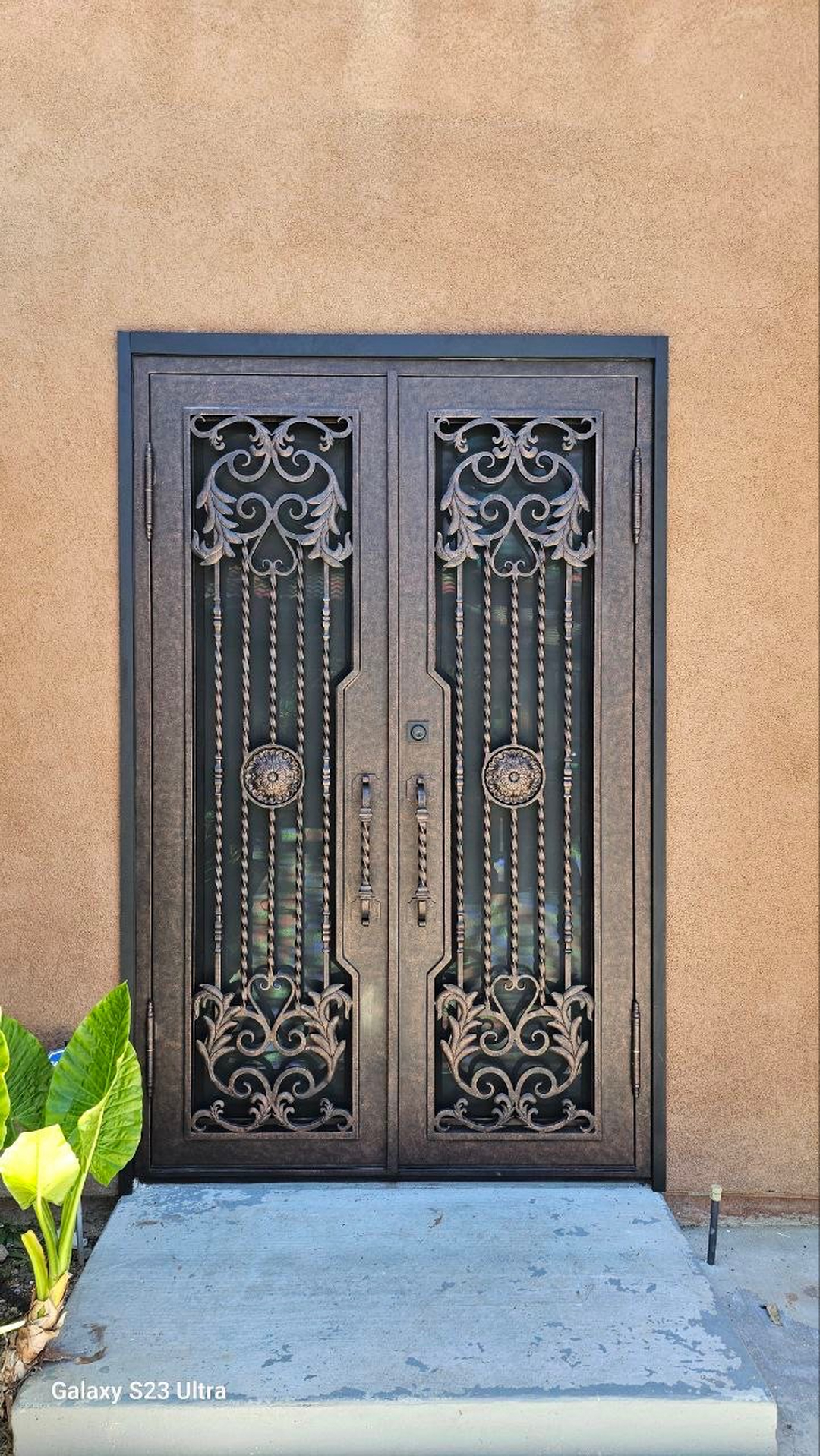 Luxe Iron Doors Image