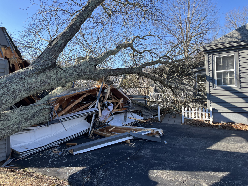 Reilly Tree & Landscape - Plainville, MA