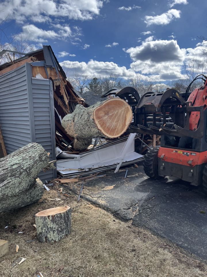 Reilly Tree & Landscape - Plainville, MA