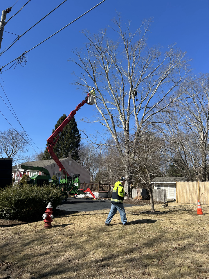 Reilly Tree & Landscape - Plainville, MA