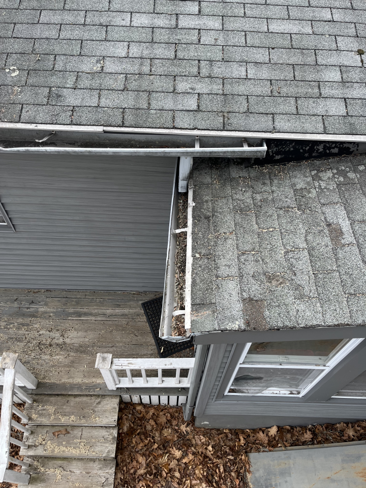 Reilly Tree & Landscape - Plainville, MA