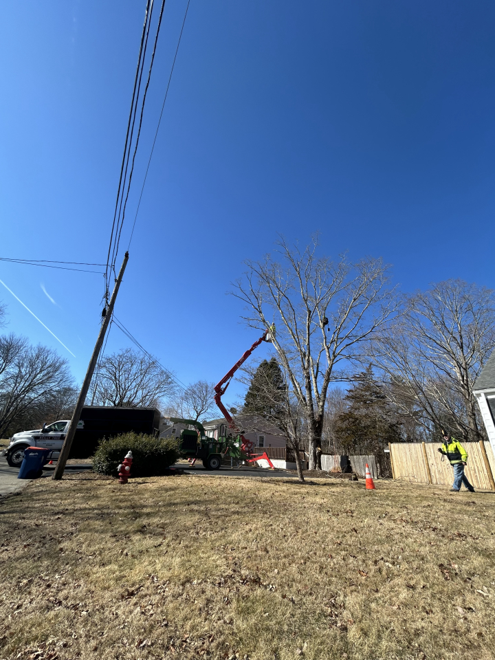 Reilly Tree & Landscape - Plainville, MA