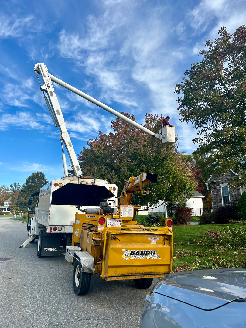 Reilly Tree & Landscape - Plainville, MA